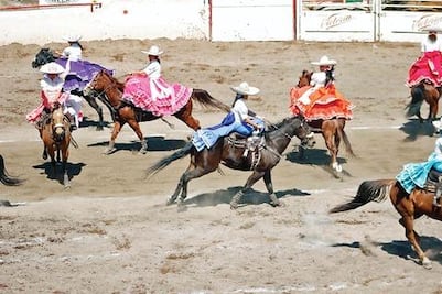 Cabalgan por nuevo lienzo