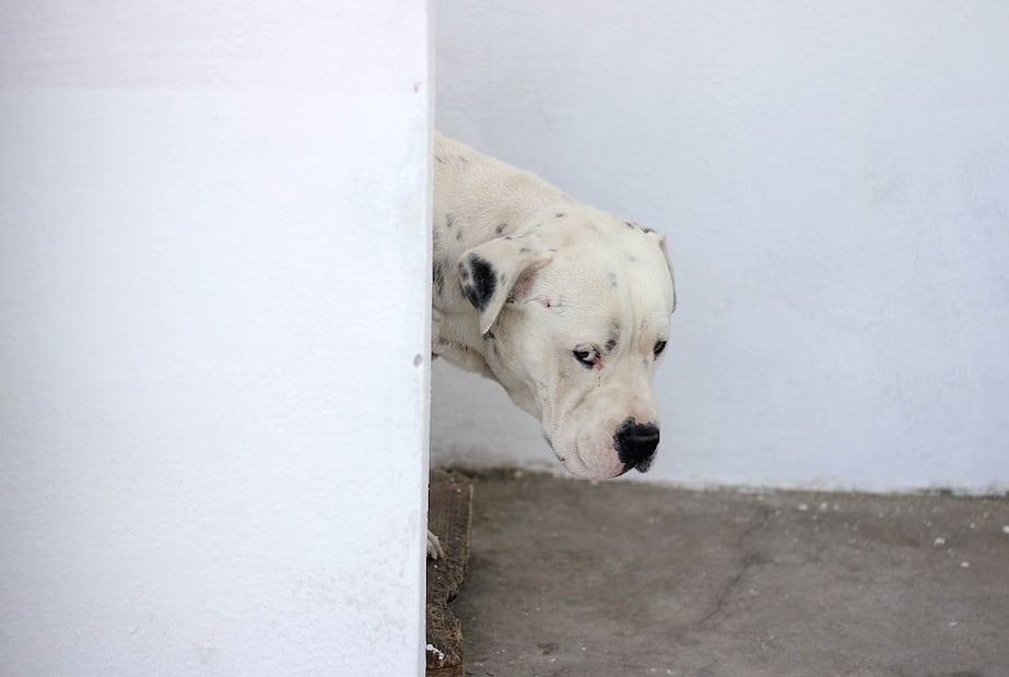 FOTO. ARCHIVO EL UNIVERSAL