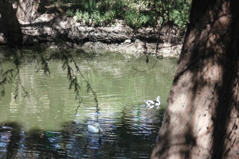 SJR vigila descargas residuales hacia río