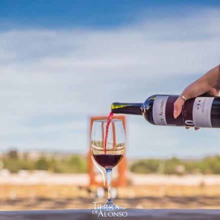 Vendimias de Querétaro. Calendario para disfrutar las fiestas de vino en 2022