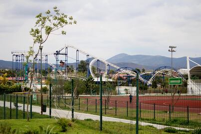 Mueren puercos vietnamitas en el Parque Bicentenario