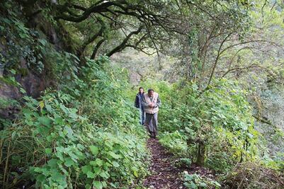 Contaminación de agua afecta a la Sierra Gorda