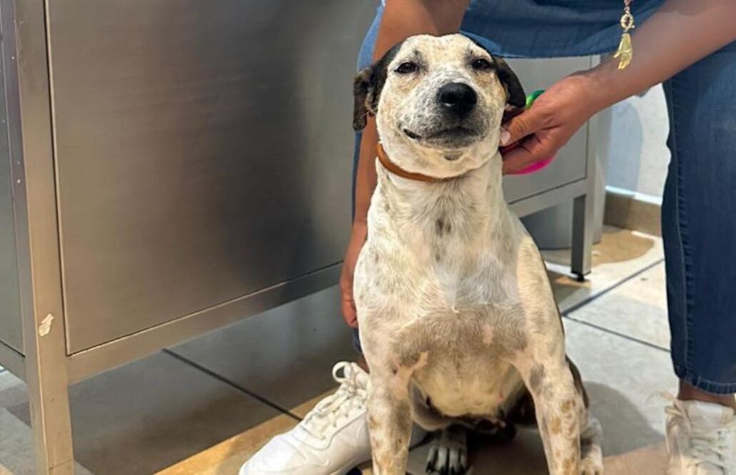 Peggy fue adoptada, luego de ser abandonada en la peregrinación