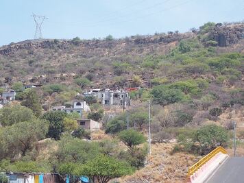 Diputado contradice a priísta