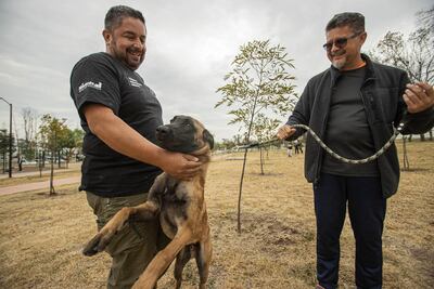En Querétaro, enseñan adiestramiento con amor y comprensión del lenguaje de canino