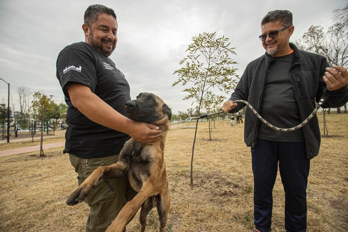 En Querétaro, enseñan adiestramiento con amor y comprensión del lenguaje de canino