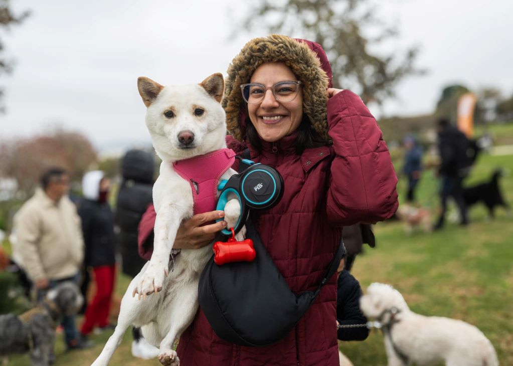 Proponen crear la Subprocuraduría de Protección Animal en Querétaro