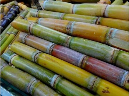 Conoce los beneficios de los ingredientes del ponche de frutas