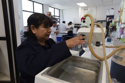 Científica de la UAEH transforma lirio acuático en alternativa biodegradable al plástico