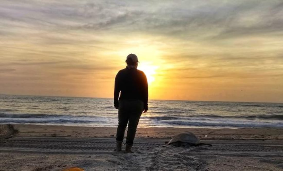 Foto: Cortesía Biol. Lizeth Morín