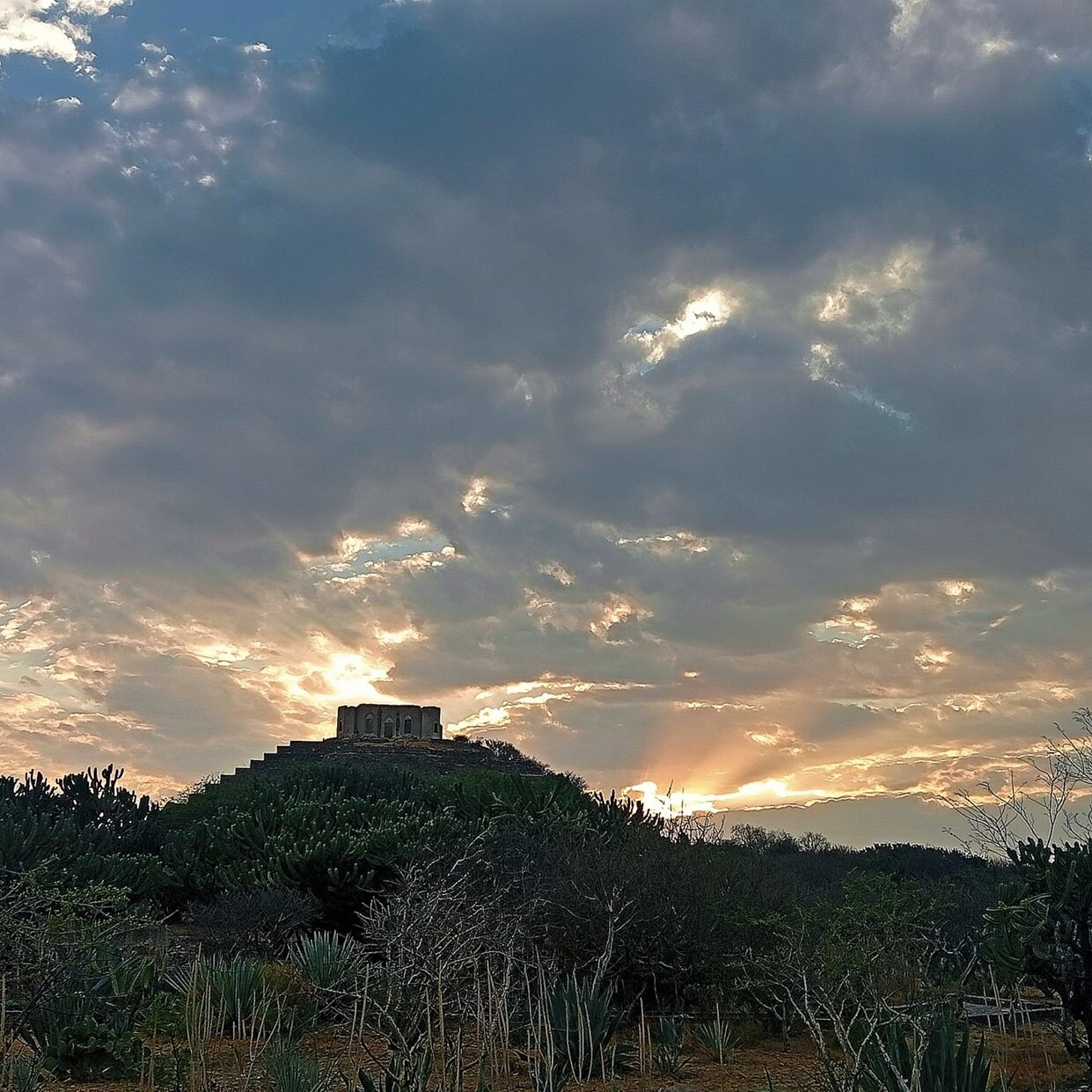 Foto: Zona Arqueológica y Museo de Sitio El Cerrito INAH.