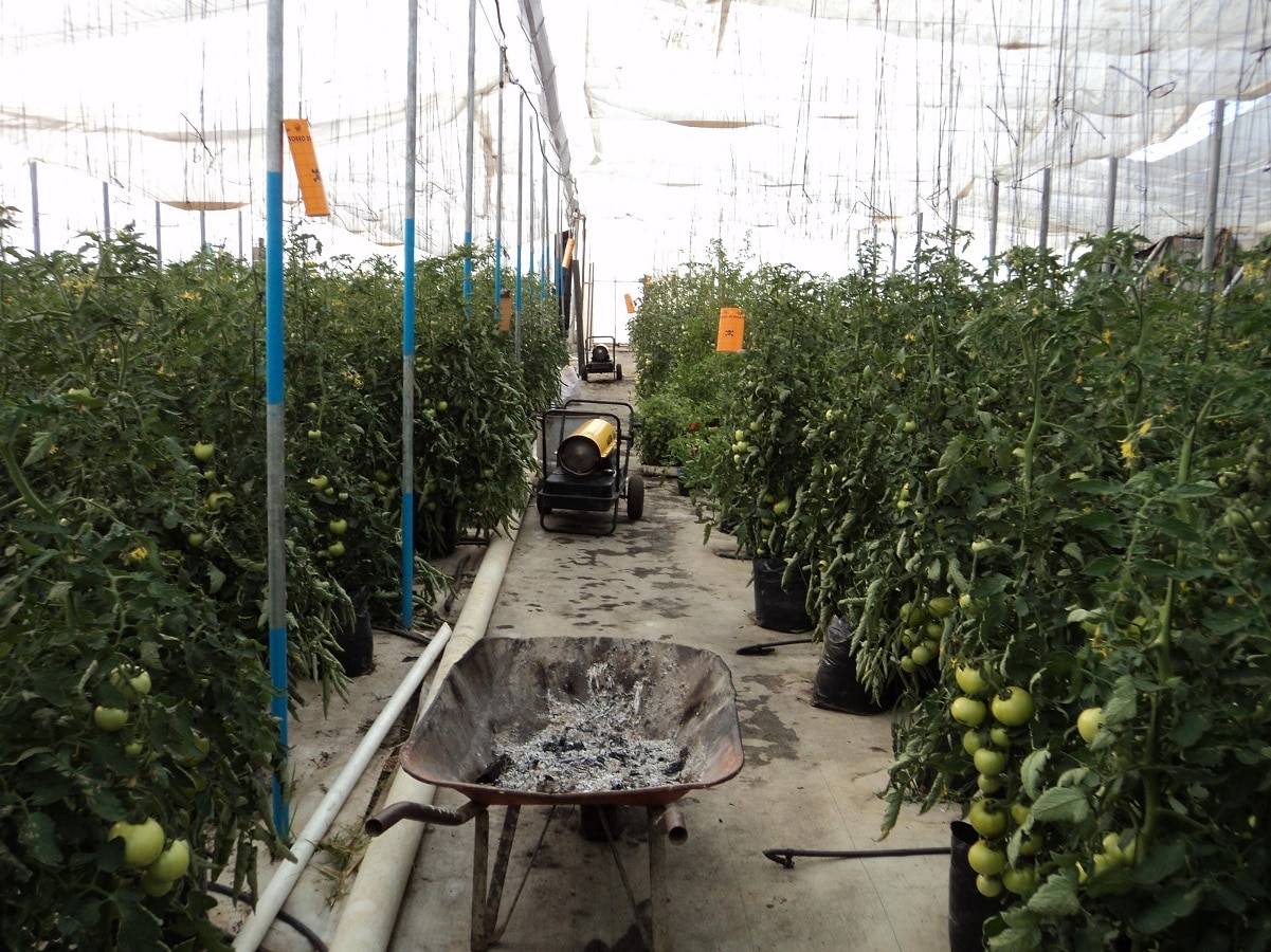 Anuncian 5 proyectos de inversión holandesa para Querétaro