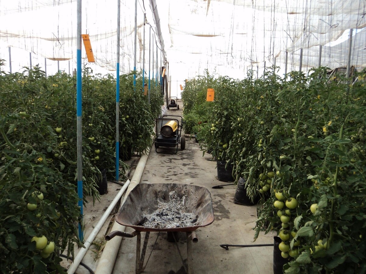 Anuncian 5 proyectos de inversión holandesa para Querétaro