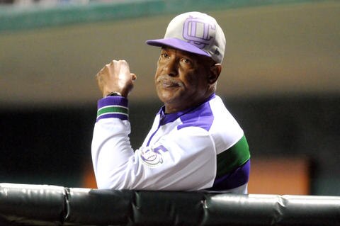 Deben Delfines brincar el aro