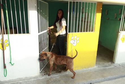 Flor: “Las mascotas no son un juguete de la casa”