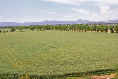 Urgente, apoyar la actividad agropecuaria de Querétaro