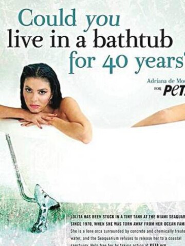 Estrella de reallity show apoya a PETA