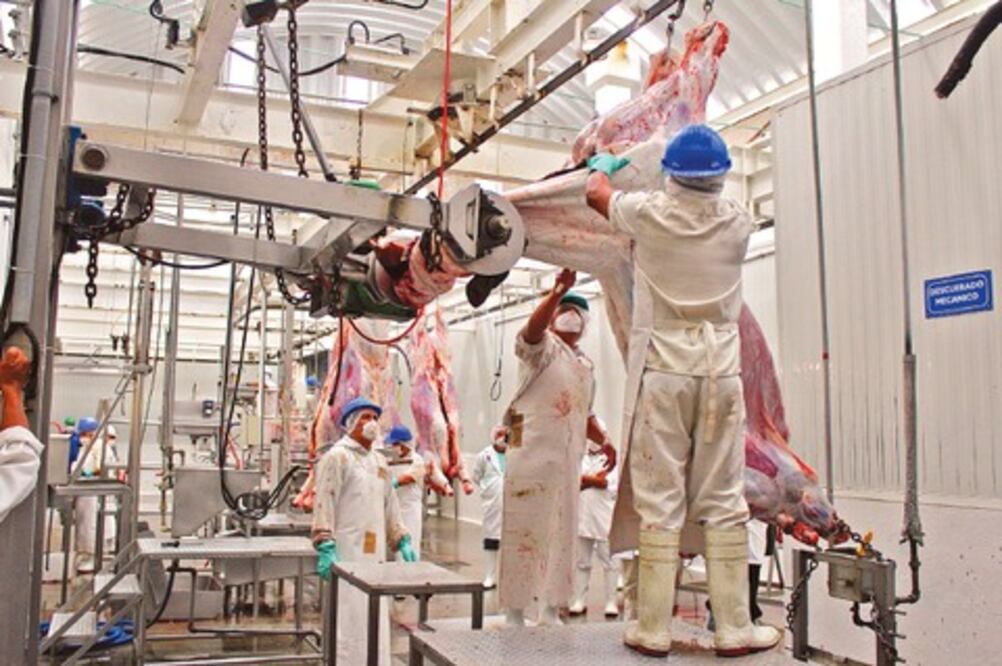 Edifican salón para unión de tocineros   