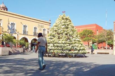 Alertan sobre “depresión blanca” 