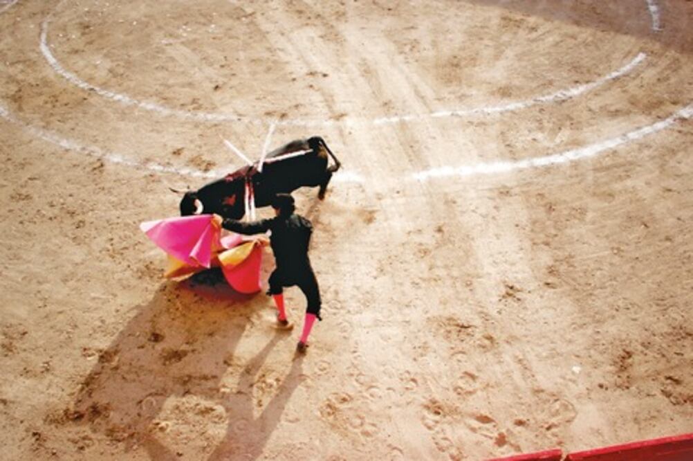 Acosan opositores a toreros en SJR