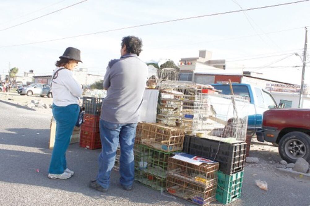  Alistan ley contra maltrato animal