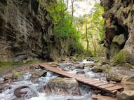 Esperan acuerdo de ejidatarios y cooperativa para reabrir el Puente de Dios-Río Escanela