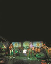 Pachedub Collective, la banda que nació en la carrera de sociología, cumple 10 años de reggae