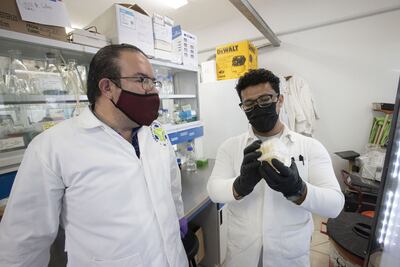 Hará de todo. UAQ recaudará fondos para continuar el desarrollo de la vacuna mexicana antiCovid-19