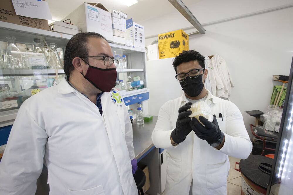 Foto: Demian Chávez