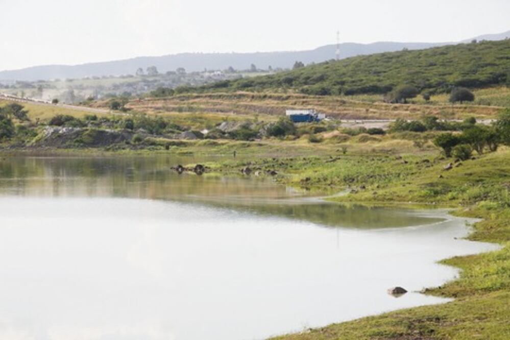 Bordos agrícolas, nivel óptimo, afirman