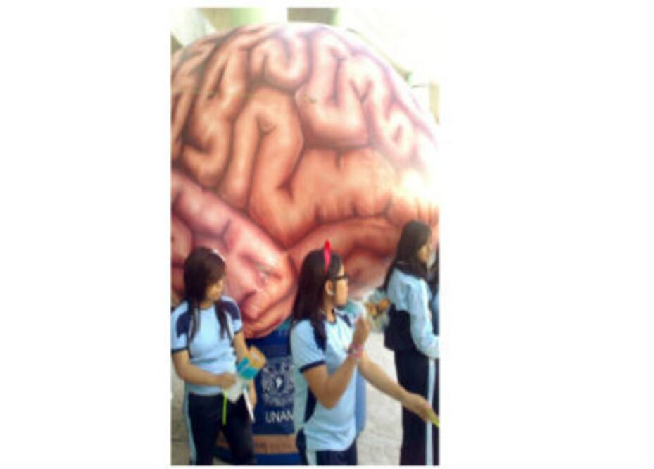 Explican funcionamiento del cerebro a los niños