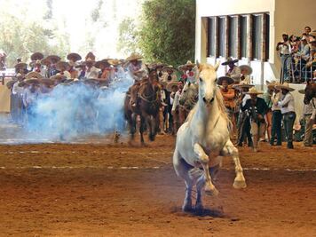 ’Jugosa’ bolsa en Nacional charro 