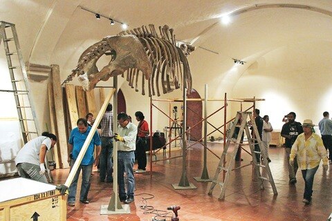 Inicia montaje de exposición