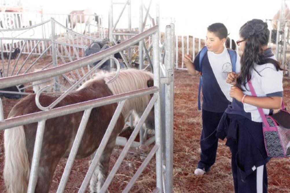 Trabajan municipios en protección animal