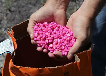 Beneficia al campo apoyos de programas municipales