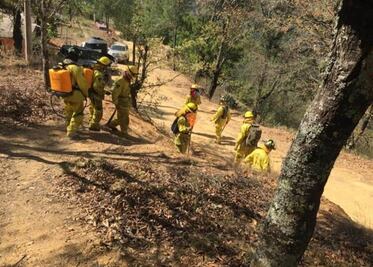 Reportan incendio en la Sierra Gorda