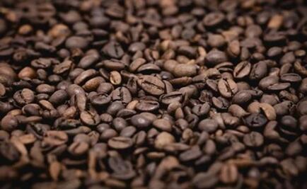 Más del 60% de variedades de café, en peligro de extinción