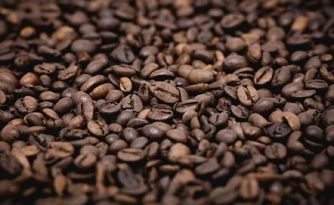 Más del 60% de variedades de café, en peligro de extinción