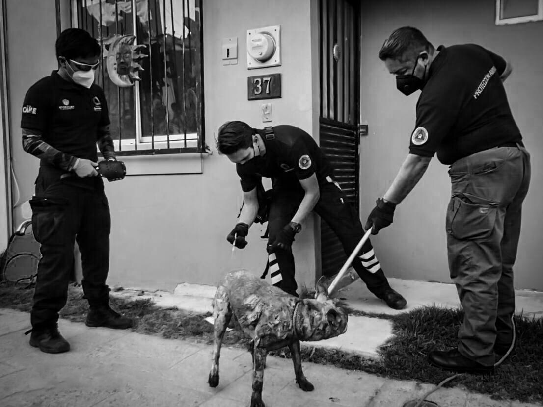 Foto: Protección Civil de Querétaro