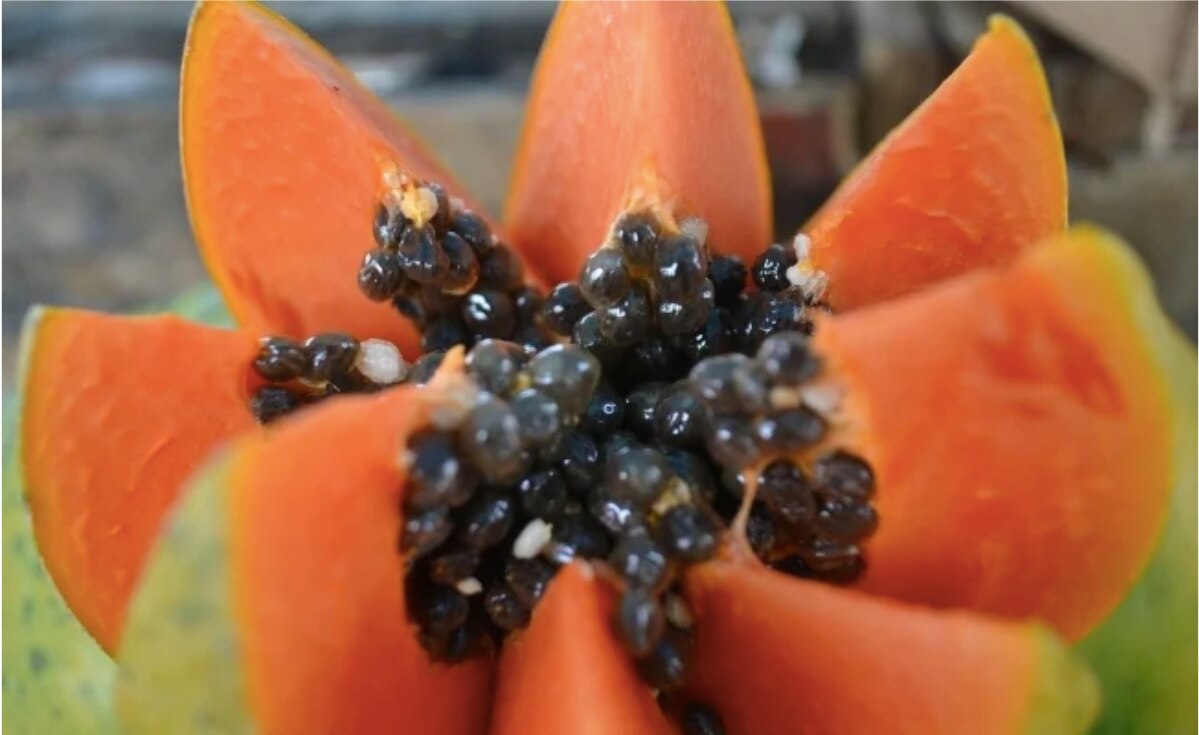 Razones para desayunar papaya esta cuarentena