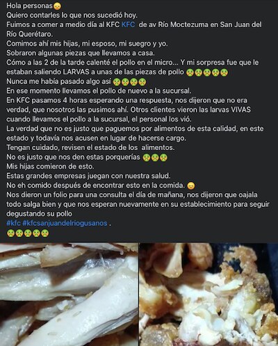 Encuentran larvas en pollo de restaurante internacional en Querétaro 