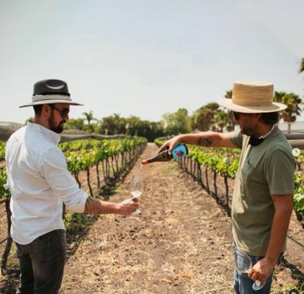 Vendimias de Querétaro. Calendario para disfrutar las fiestas de vino en 2022