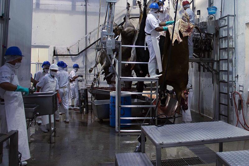 Respaldan rastro para Zona Metropolitana I