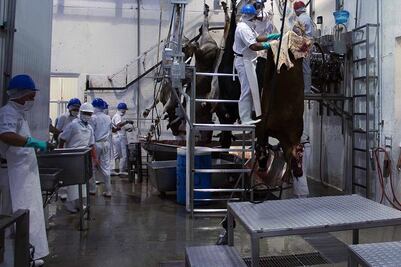 Respaldan rastro para Zona Metropolitana I