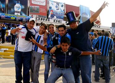 La pasión por los Gallos, no tiene precio
