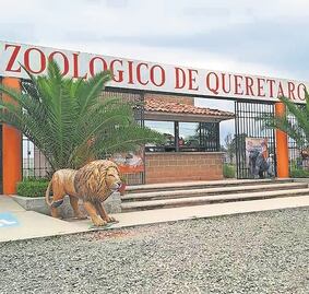 Matan a una persona en el zoológico Wamerú; ya se busca el auto del agresor