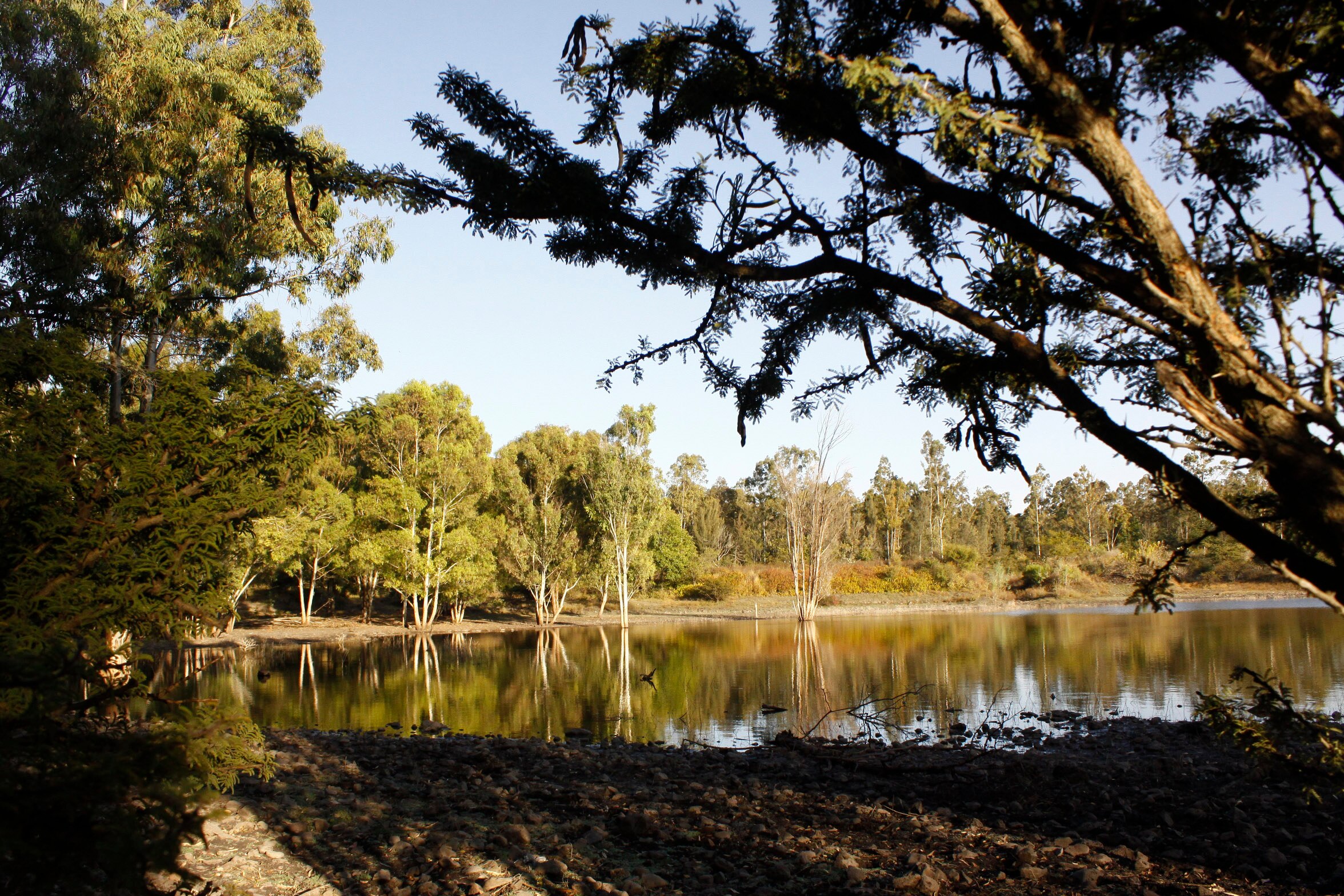 Gestionan dos zonas naturales protegidas