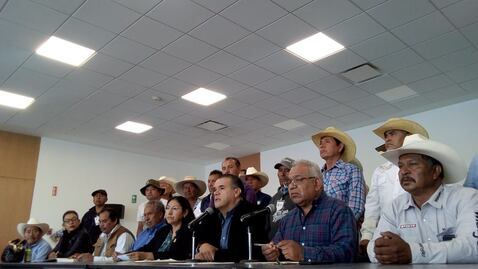 "El PAN tiene intereses en Peña Colorada": diputados de Morena