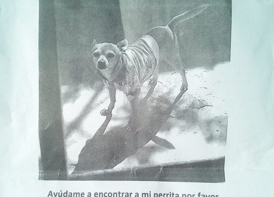 Foto: Facebook Karewitt Castrejon