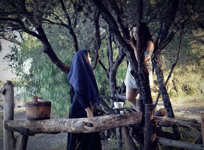 Inicia temporada virtual de La libertad de los pájaros